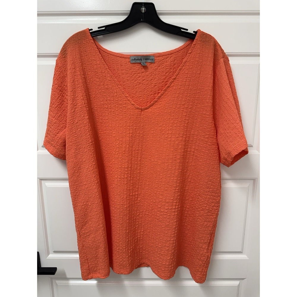 Absolutely Famous Womens 2X Orange Vneck Textured Pullover Blouse Top